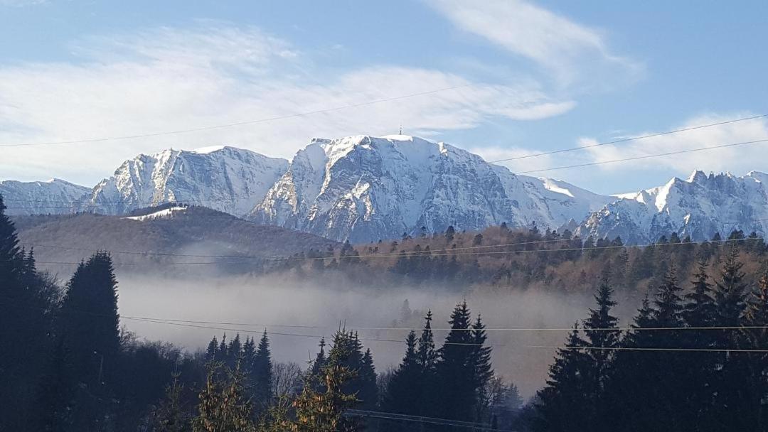 Treasure Mountain Predeal Exteriör bild